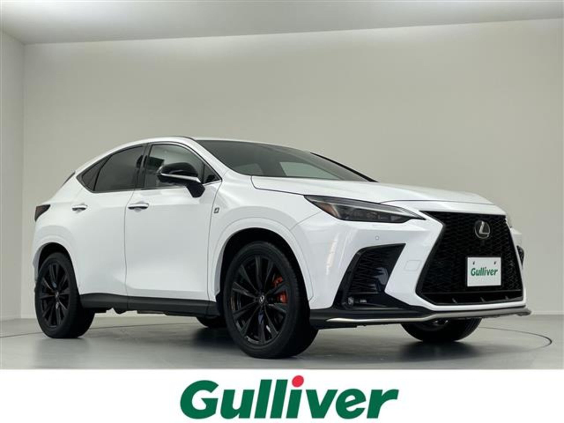 LEXUS NX - View 1