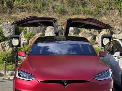 2024 Tesla MODEL X — фото 10