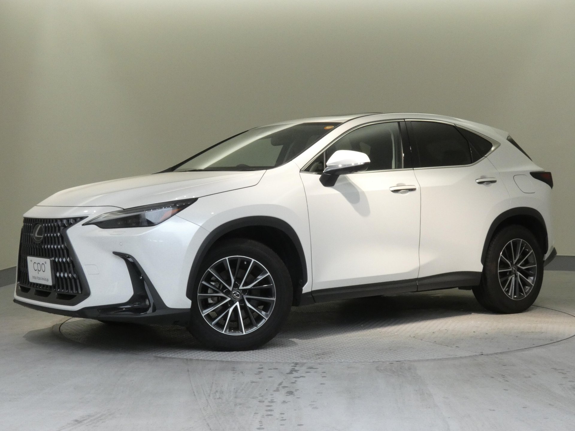 LEXUS NX - View 1