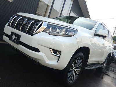 2020 Toyota LAND CRUISER PRADO 照片 3