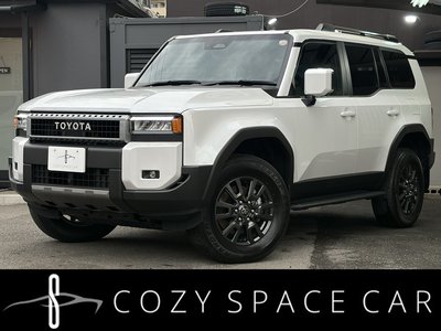 TOYOTA LAND CRUISER 250 - 1