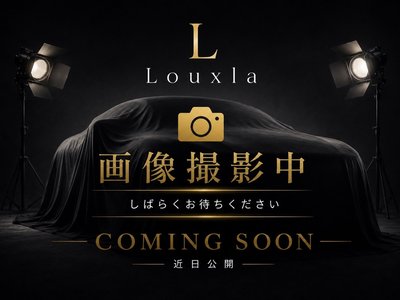 2019 LEXUS LC 照片 2