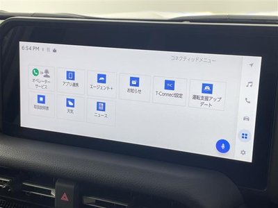 TOYOTA LAND CRUISER 250 - 7