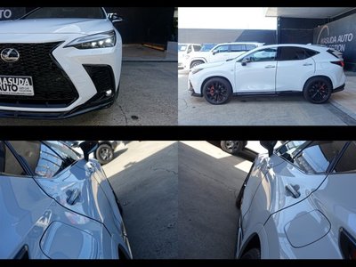 2023 Lexus NX 缩略图 21