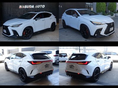 2023 Lexus NX 缩略图 20