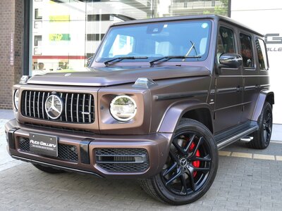 MERCEDES-BENZ G-CLASS AMG