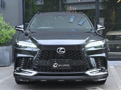 LEXUS RX - 8