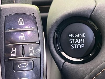 2025 Toyota ALPHARD 缩略图 52