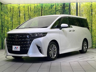 2025 Toyota ALPHARD 缩略图 27