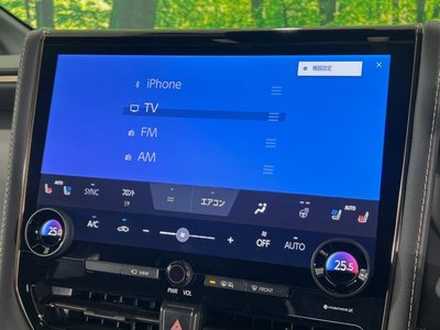 2023 Toyota ALPHARD 缩略图 33