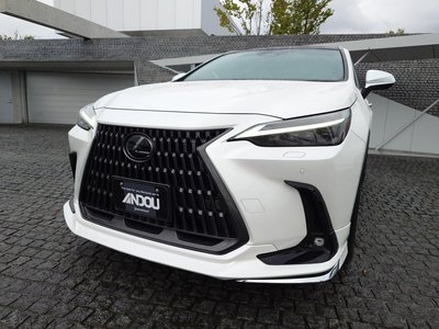 LEXUS NX - 6