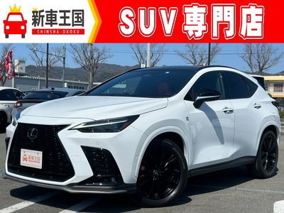 LEXUS NX - 1