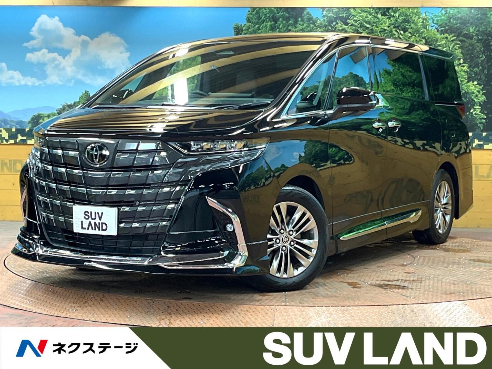 TOYOTA ALPHARD - View 1