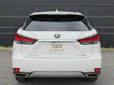 صورة 8 لـ 2021 Lexus RX