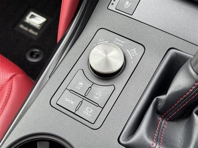 2021 Lexus IS 缩略图 21