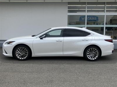 2023 Lexus ES photo 3