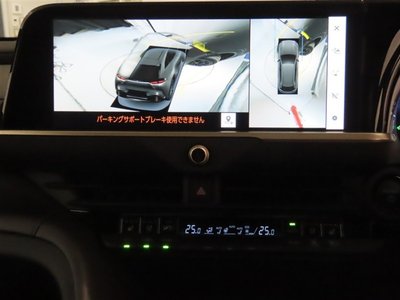 2025 Toyota CROWN SPORT 缩略图 23