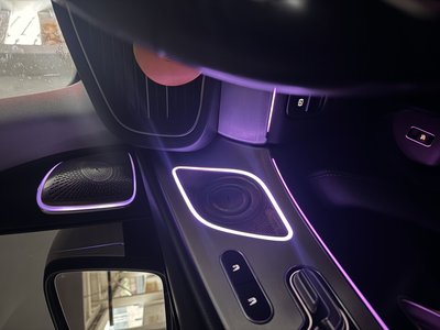 2019 Mercedes-BENZ GLE 照片 9