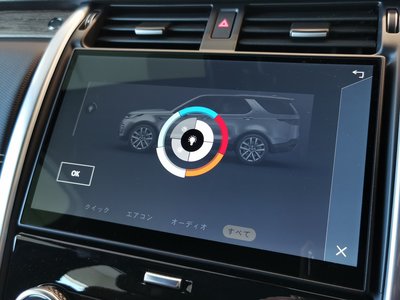 LAND ROVER DISCOVERY - 8