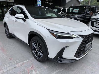 LEXUS NX - 7