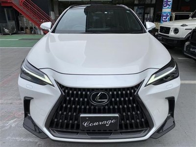 LEXUS NX - 6