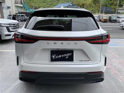 LEXUS NX - 10
