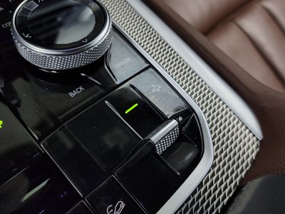 2020 BMW X6 thumbnail 31