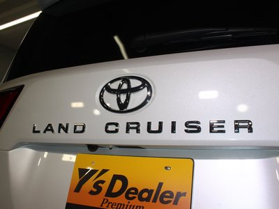 2025 Toyota LAND CRUISER 300 缩略图 19