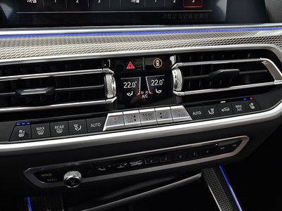 صورة مصغرة 19 لـ 2021 BMW X5
