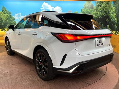 2025 Lexus RX — миниатюра 25