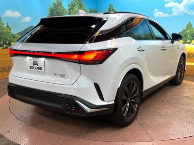 2025 Lexus RX — миниатюра 17