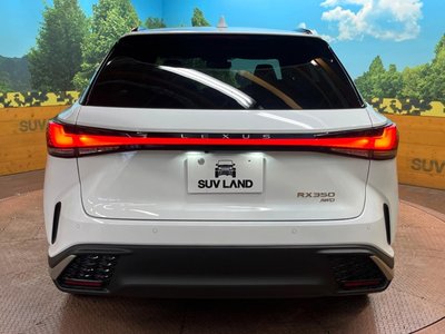 2025 Lexus RX — миниатюра 15