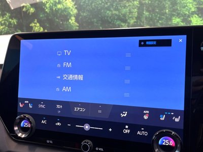 2025 Lexus RX — миниатюра 28