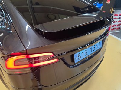 2024 Tesla MODEL X thumbnail 19