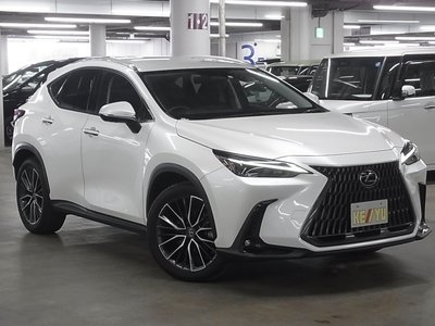 2023 Lexus NX 照片 8