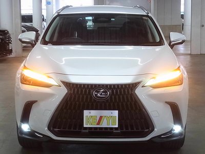 2023 Lexus NX 照片 9