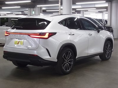 2023 Lexus NX 照片 6