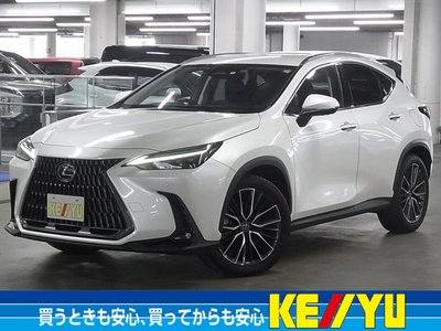 2023 Lexus NX 照片 1