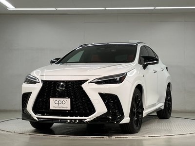 LEXUS NX - 1