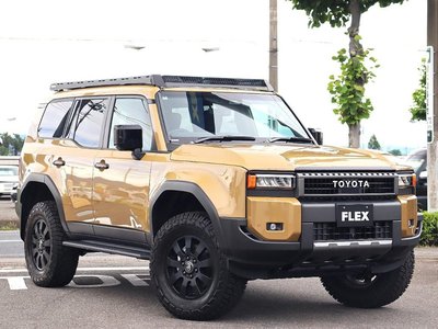 2024 Toyota LAND CRUISER 250 缩略图 19