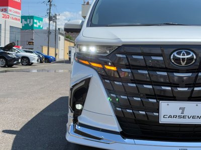 2024 TOYOTA ALPHARD 缩略图 17