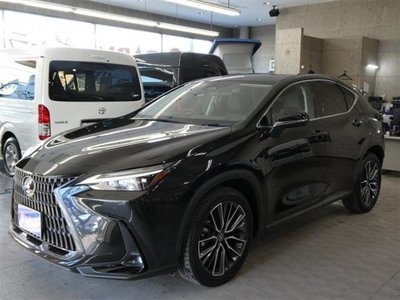 LEXUS NX - 5