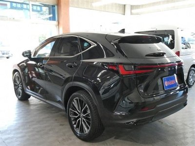 LEXUS NX - 6