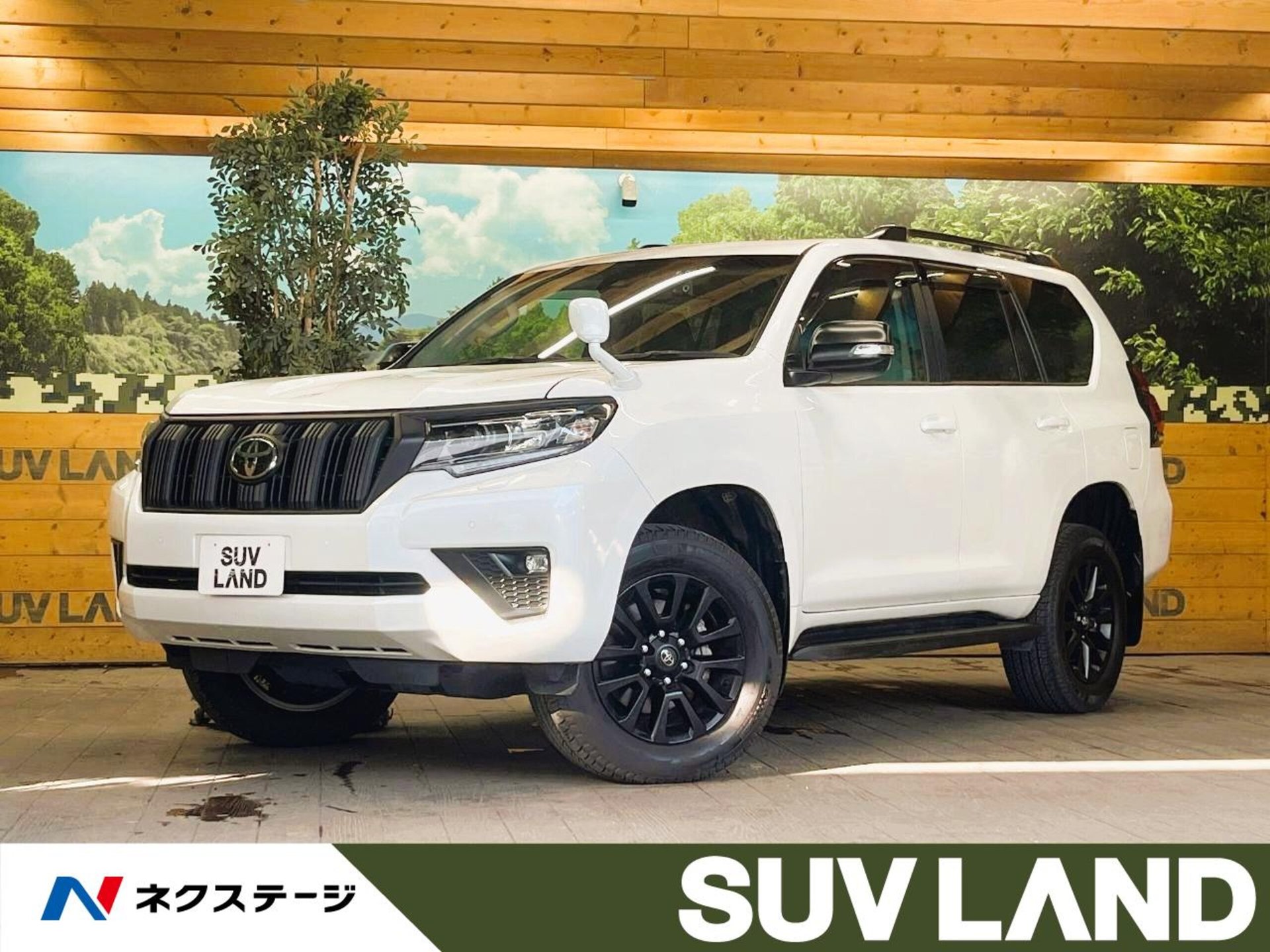 TOYOTA LAND CRUISER PRADO - View 1