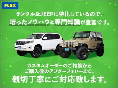 2025 Toyota LAND CRUISER 250 — миниатюра 42