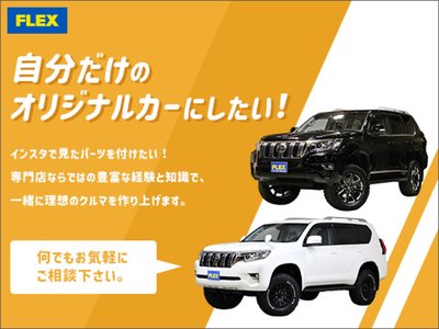 2025 Toyota LAND CRUISER 250 — миниатюра 45