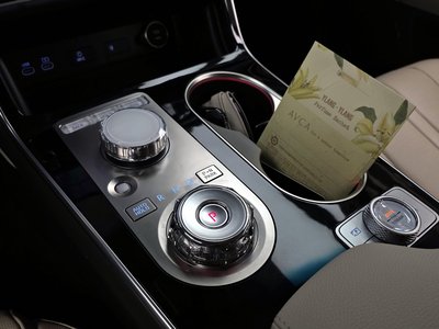 GENESIS GV80 - 9