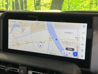 TOYOTA LAND CRUISER 250 - 4