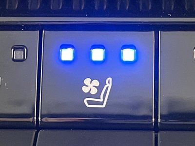 TOYOTA LAND CRUISER 250 - 7