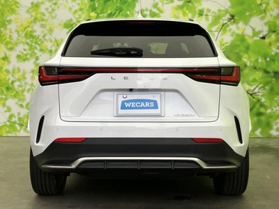 2023 Lexus NX 缩略图 45